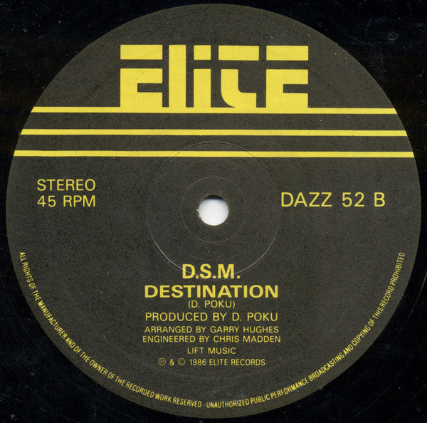 D.S.M.* : Destiny (12")