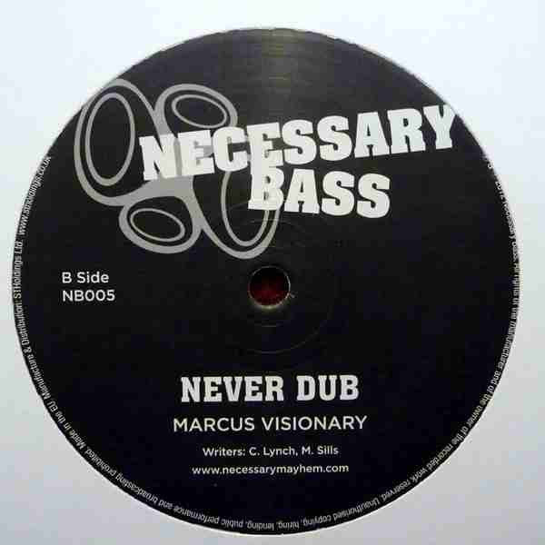 Marcus Visionary ft. Macka B : Never Leave (12")