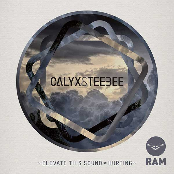 Calyx & TeeBee : Elevate This Sound / Hurting (12")