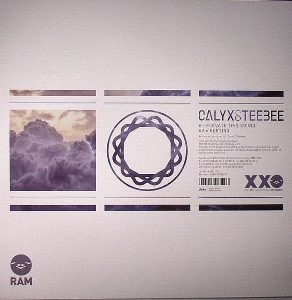 Calyx & TeeBee : Elevate This Sound / Hurting (12")