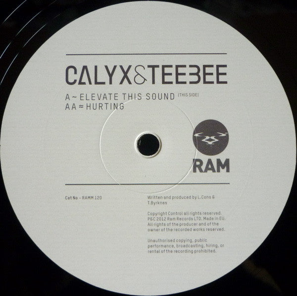 Calyx & TeeBee : Elevate This Sound / Hurting (12")