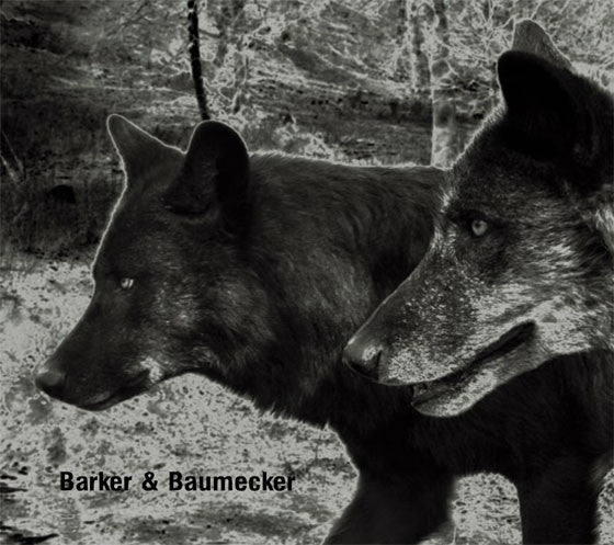 Barker & Baumecker : Transsektoral (CD, Album)