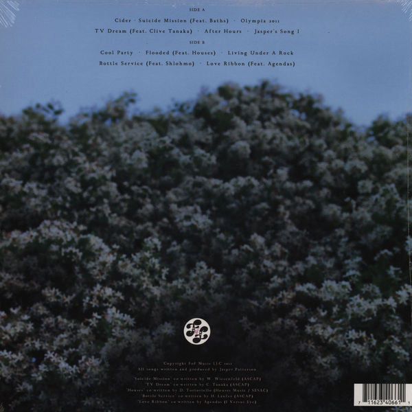 Groundislava : Feel Me (LP, Album)