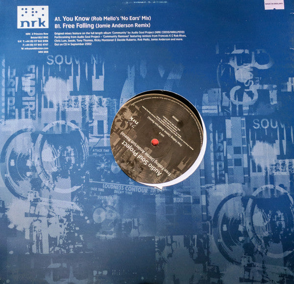 Audio Soul Project : You Know / Free Falling (12")
