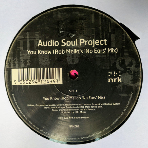 Audio Soul Project : You Know / Free Falling (12")