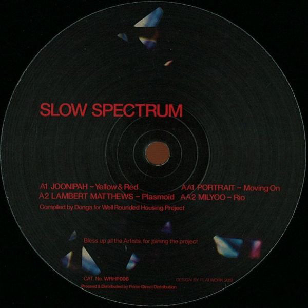 Various : Slow Spectrum (12", Comp)