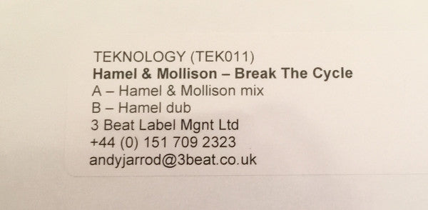 Bill Hamel & Sam Mollison : Break The Cycle (12", Promo, W/Lbl)