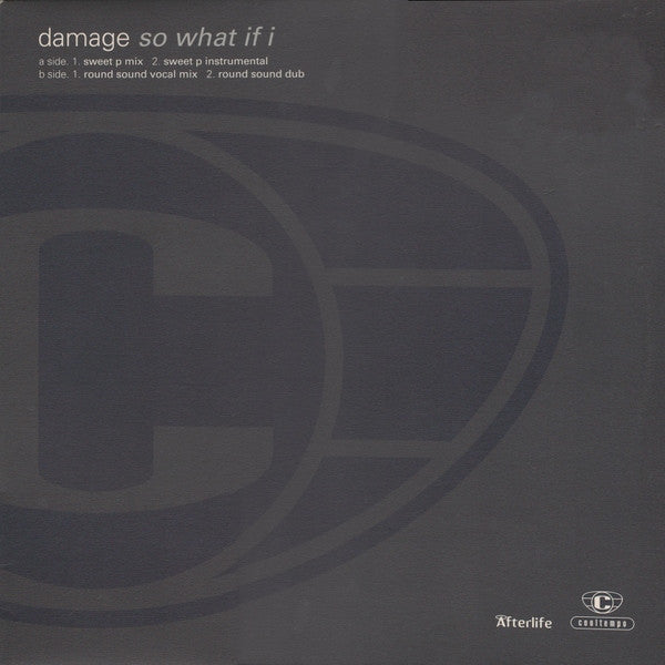 Damage : So What If I (12", Promo)