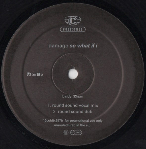 Damage : So What If I (12", Promo)