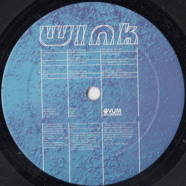 Josh Wink : Are You There... (12", Promo)