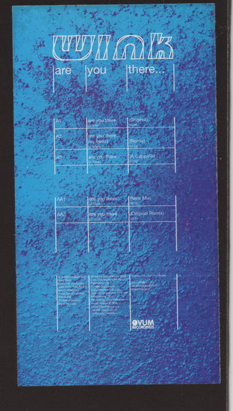 Josh Wink : Are You There... (12", Promo)