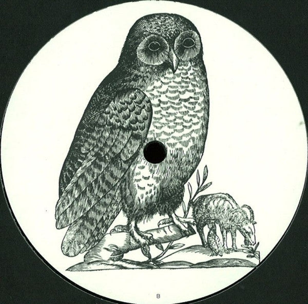 Unknown Artist : Untitled (12", Unofficial)