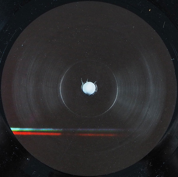 Guillaume & The Coutu Dumonts : Twice Around The Sun (2xLP)