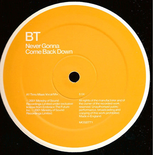 BT : Never Gonna Come Back Down (12")