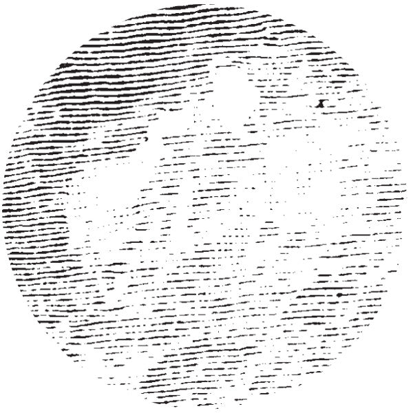 J.S.Zeiter : Reduction 1 (12")