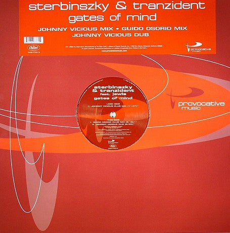 Sterbinszky & Tranzident Feat. Jewls : Gates Of Mind (12")