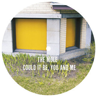 The Mole : Could It Be, You And Me (12", 180)