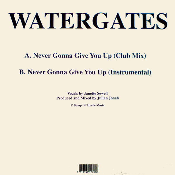Watergates : Never Gonna Give You Up (12")