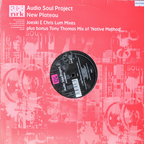 Audio Soul Project : New Plateau (2x12", EP)