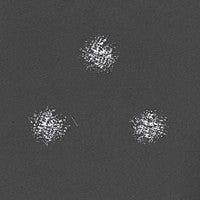 GKNSTR : GKNSTR AAB (12", Ltd, W/Lbl)
