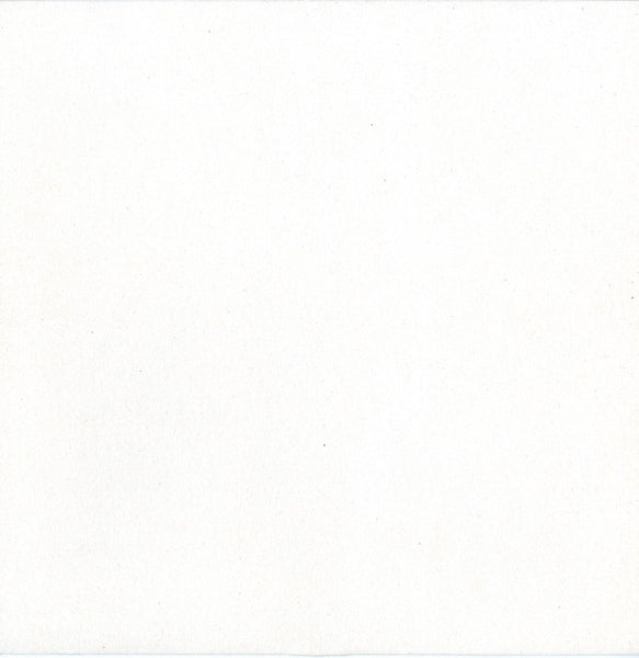 Cluekid : Spider Monkey / Rainy Street Light (10")