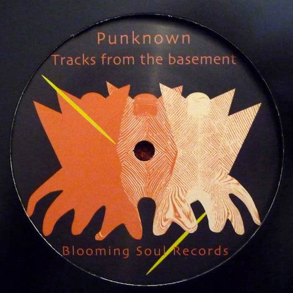 Punknown : Tracks From The Basement (12")