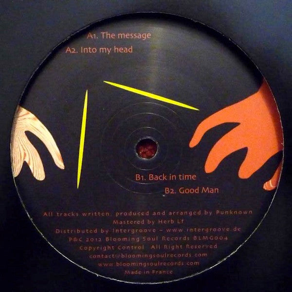 Punknown : Tracks From The Basement (12")