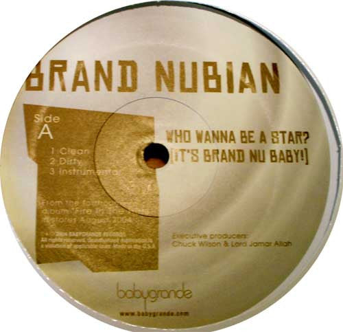 Brand Nubian : Who Wanna Be A Star? (It's Brand Nu Baby!) / Just Don't Learn (12")