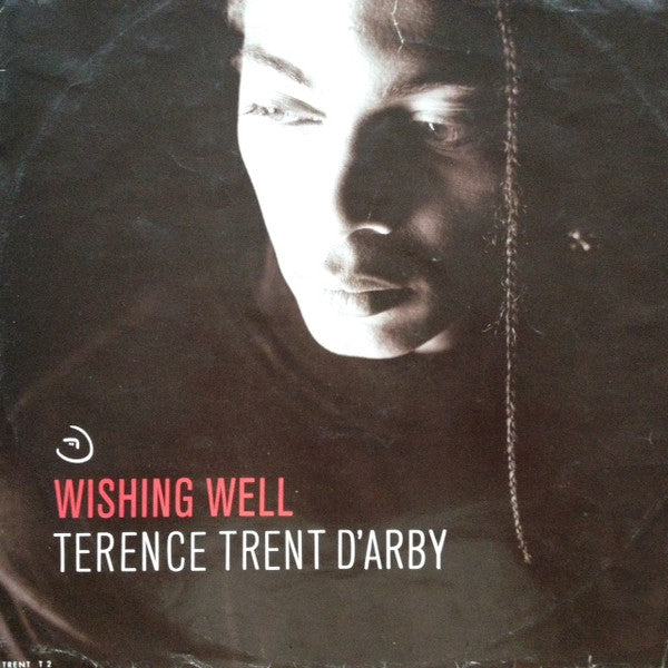 Terence Trent D'Arby : Wishing Well (12")