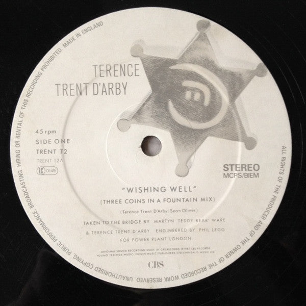 Terence Trent D'Arby : Wishing Well (12")