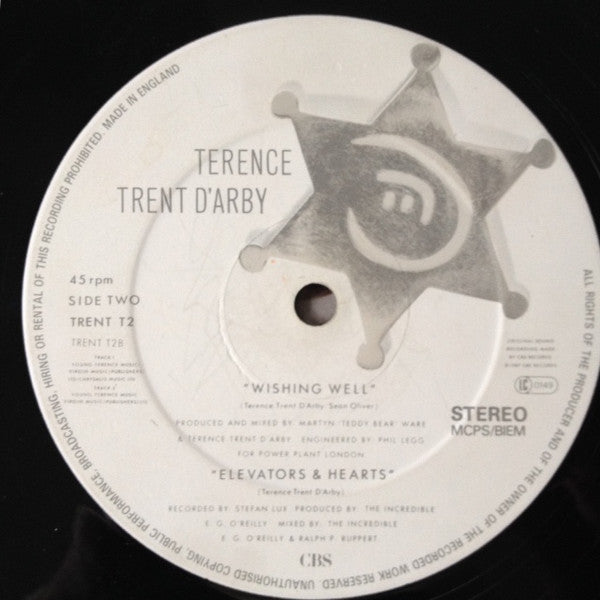 Terence Trent D'Arby : Wishing Well (12")