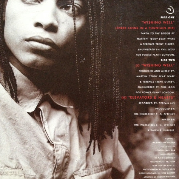 Terence Trent D'Arby : Wishing Well (12")