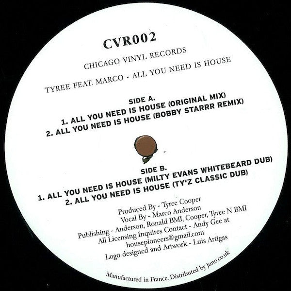 Tyree Cooper Feat. Marco Anderson (2) : All You Need Is House (12")