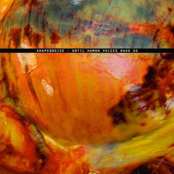 Shapednoise : Until Human Voices Wake Us (12", EP)