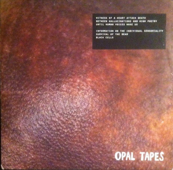 Shapednoise : Until Human Voices Wake Us (12", EP)