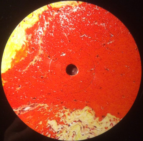 Shapednoise : Until Human Voices Wake Us (12", EP)