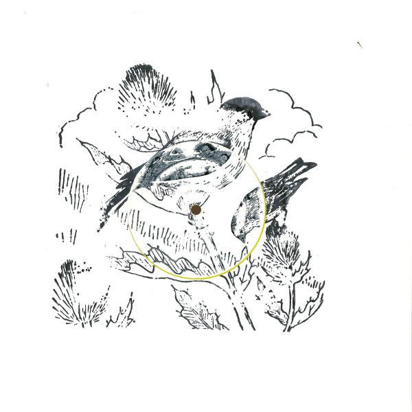 goldFFinch : Remixes (12", han)