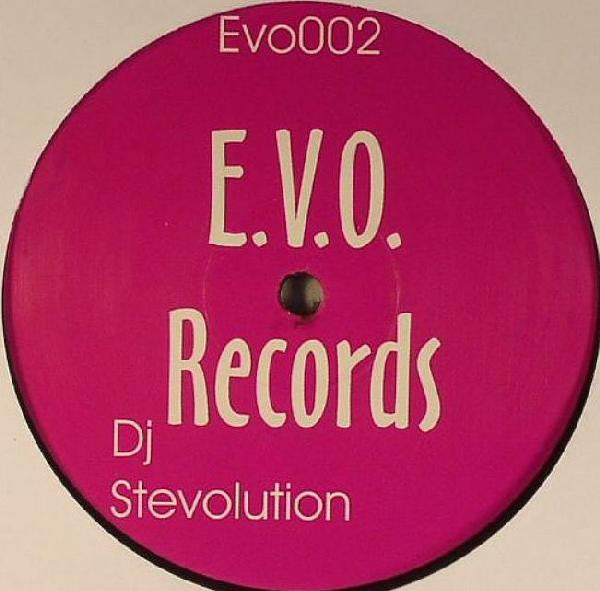 Stevolution : I Never Knew (12")