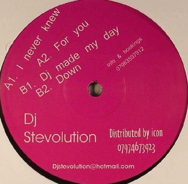 Stevolution : I Never Knew (12")