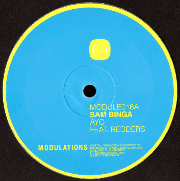 Sam Binga : AYO / Freezy (10", Hot)