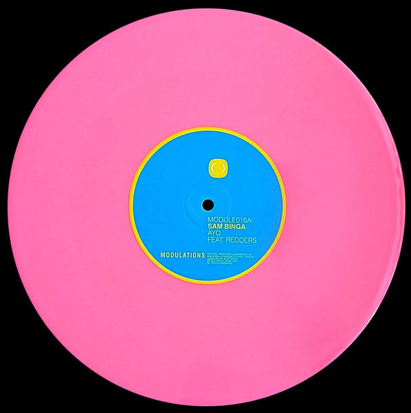 Sam Binga : AYO / Freezy (10", Hot)