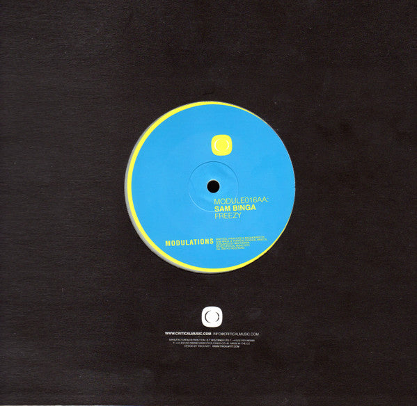 Sam Binga : AYO / Freezy (10", Hot)