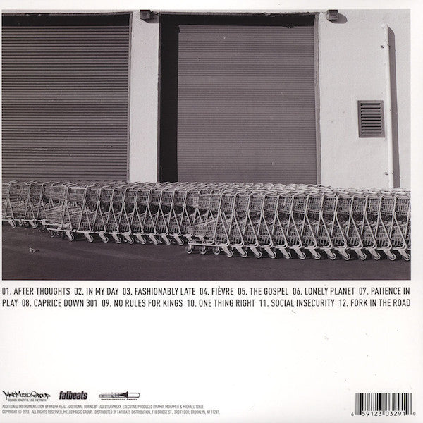Oddisee : The Beauty In All (LP, Album, Blu)