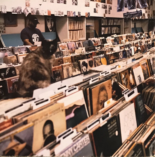 DJ Shadow : Endtroducing..... (2xLP, Album, Gat)