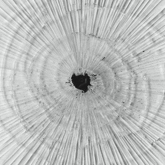 Emptyset : Demiurge (LP, Album)
