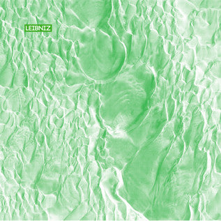Leibniz (3) : What Matters / Bring It Don't Sing It (12")