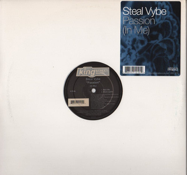 Steal Vybe : Passion (In Me) (12")