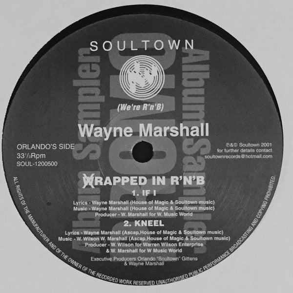 Wayne Marshall (3) : Wrapped In R'N'B (12", Smplr)