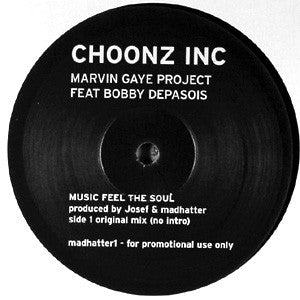 Marvin Gaye Project Feat Bobbi Depasois : Music Feel The Soul (12", Promo)