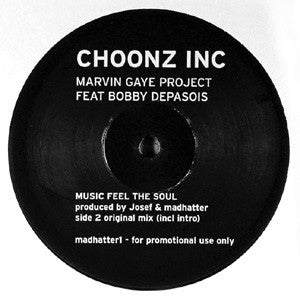 Marvin Gaye Project Feat Bobbi Depasois : Music Feel The Soul (12", Promo)